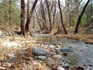 photo thumbnail #4
