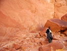 photo thumbnail #4