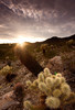 photo thumbnail #1