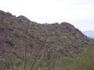 photo thumbnail #8