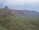 photo thumbnail #1