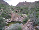 photo thumbnail #4