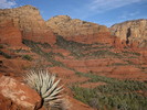 photo thumbnail #3