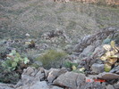 photo thumbnail #5
