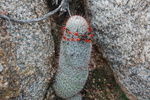 photo thumbnail #9