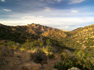 photo thumbnail #2
