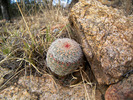 photo thumbnail #12