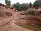photo thumbnail #6