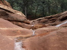 photo thumbnail #7