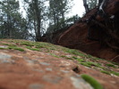 photo thumbnail #10