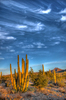 photo thumbnail #8