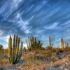photo thumbnail #9
