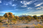 photo thumbnail #10