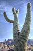 photo thumbnail #11