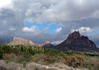 photo thumbnail #8