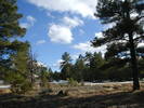 photo thumbnail #9