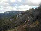 photo thumbnail #11