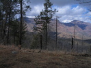 photo thumbnail #10