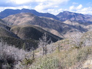 photo thumbnail #12