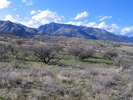 photo thumbnail #13