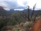 photo thumbnail #2