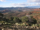 photo thumbnail #7