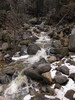 photo thumbnail #14
