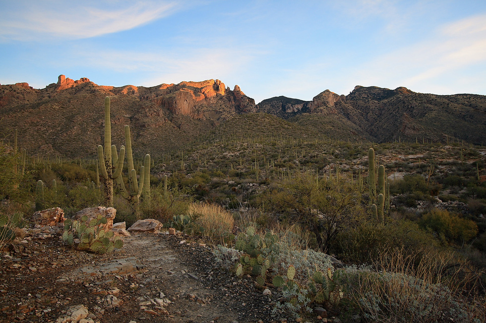 Finger Rock Trail #42, Arizona • Hiking