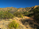 photo thumbnail #9