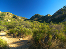 photo thumbnail #10