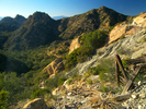 photo thumbnail #15
