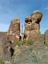 photo thumbnail #2