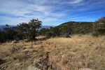 photo thumbnail #4