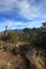 photo thumbnail #6