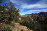 photo thumbnail #7
