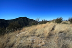 photo thumbnail #13
