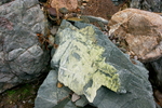 photo thumbnail #12