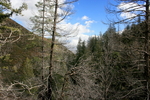 photo thumbnail #14