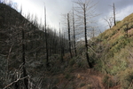 photo thumbnail #15
