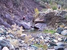 photo thumbnail #2