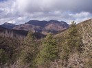 photo thumbnail #10