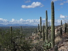 photo thumbnail #4