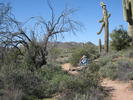 photo thumbnail #1