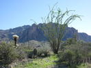 photo thumbnail #7