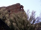 photo thumbnail #6