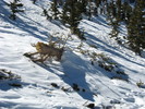 photo thumbnail #6