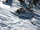 photo thumbnail #7