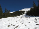 photo thumbnail #14
