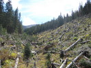 photo thumbnail #7