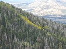 photo thumbnail #10